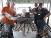 (07/04/2017) - Nice Striped Bass